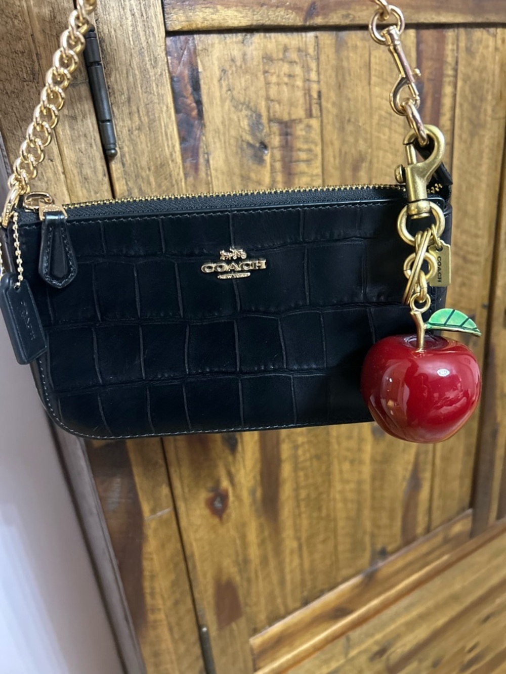 Coach Nolita 19 - Picture 7 of 11